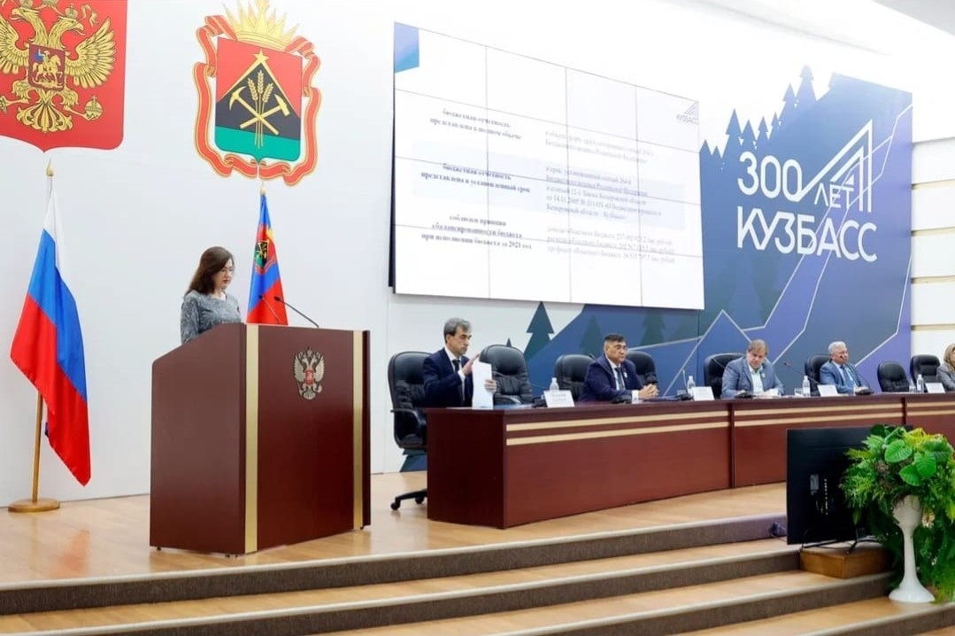 Заместитель председателя Светлана Егорова приняла участие в публичных слушаниях по годовому отчету об исполнении регионального бюджета в 2021 году